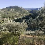 Le Cloitre Des Dominicains