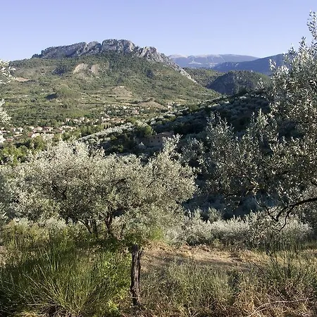 Le Cloitre Des Dominicains