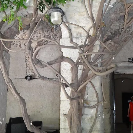 Le Cloitre Des Dominicains Buis-les-Baronnies